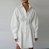 2025 Spring Women's Dress French Shirt With Waist Temperament Slim Long Sleeves Retro Niche Dress 68HZ