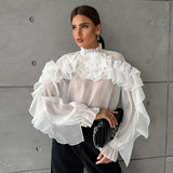 French Temperament Mesh Small Collar Collar Cascade Layered Lotus Leaf Shirt 2025 Spring New Fashion Woman 68HZ